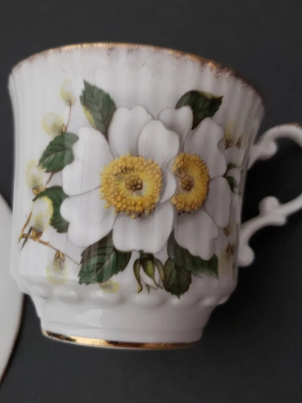 Vintage Rosina Queen's Fine Bone China Floral Tea Cup & Saucer